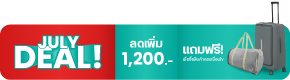 เก้าอี้ทำงานเพื่อสุขภาพ เอ็นโคส พลัส | Ergonomic Chair ENCLOSE PLUS