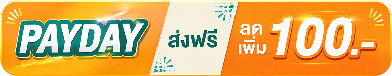 เซ็ตหมอนอเนกประสงค์ | MultiSet Pillow