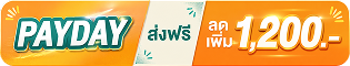 เก้าอี้ทำงานเพื่อสุขภาพ เอ็นโคส | Ergonomic Chair ENCLOSE