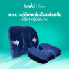 รีวิว Bewell Set เบาะรองหลัง ไซส์ L และเบาะรองนั่งเพื่อสุขภาพ
