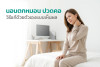 นอนตกหมอน ปวดคอ วิธีแก้ด้วยตัวเองแบบเห็นผล