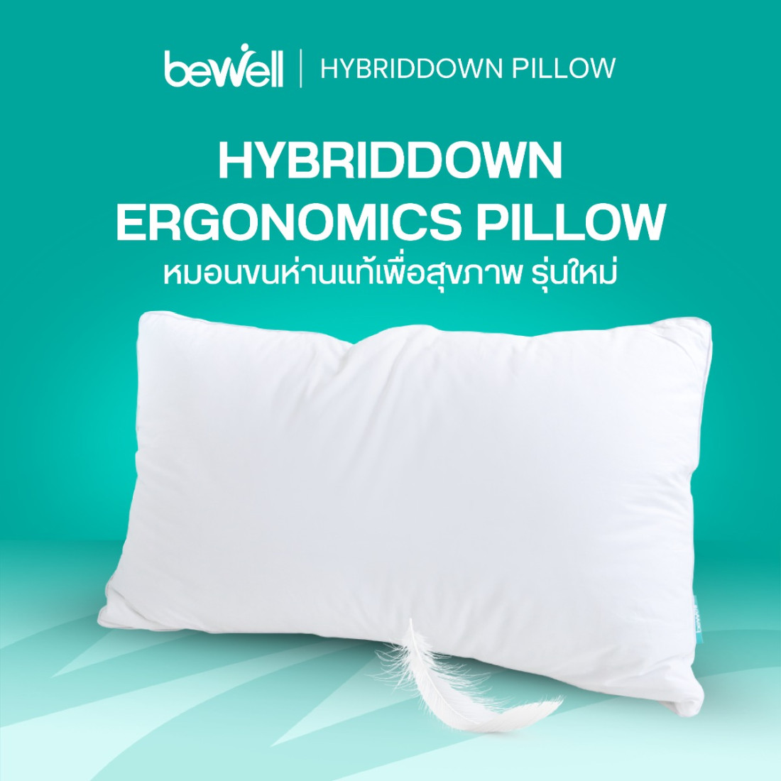 รีวิว Bewell หมอนเพื่อสุขภาพ รุ่นไฮบริดดาวน์ นุ่มสไตล์โรงแรม