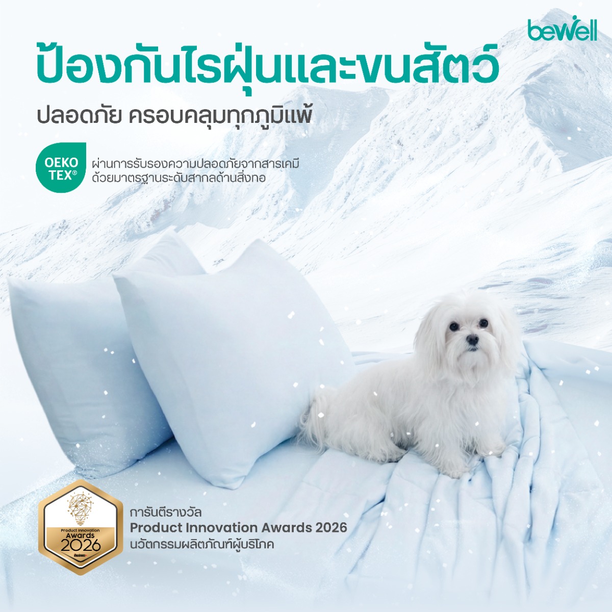 Bewell ปลอกหมอนเย็น ขนาดมาตรฐาน 50x70 ซม. ยืดหยุ่นดีเยี่ยม