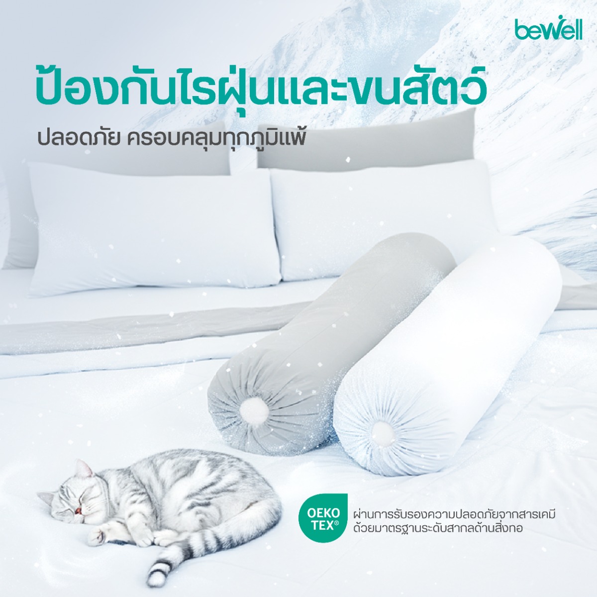 Bewell ปลอกหมอนข้างเย็น มาตรฐาน OEKO-TEX Standard 100 อ่อนโยนต่อคนเป็นภูมิแพ้