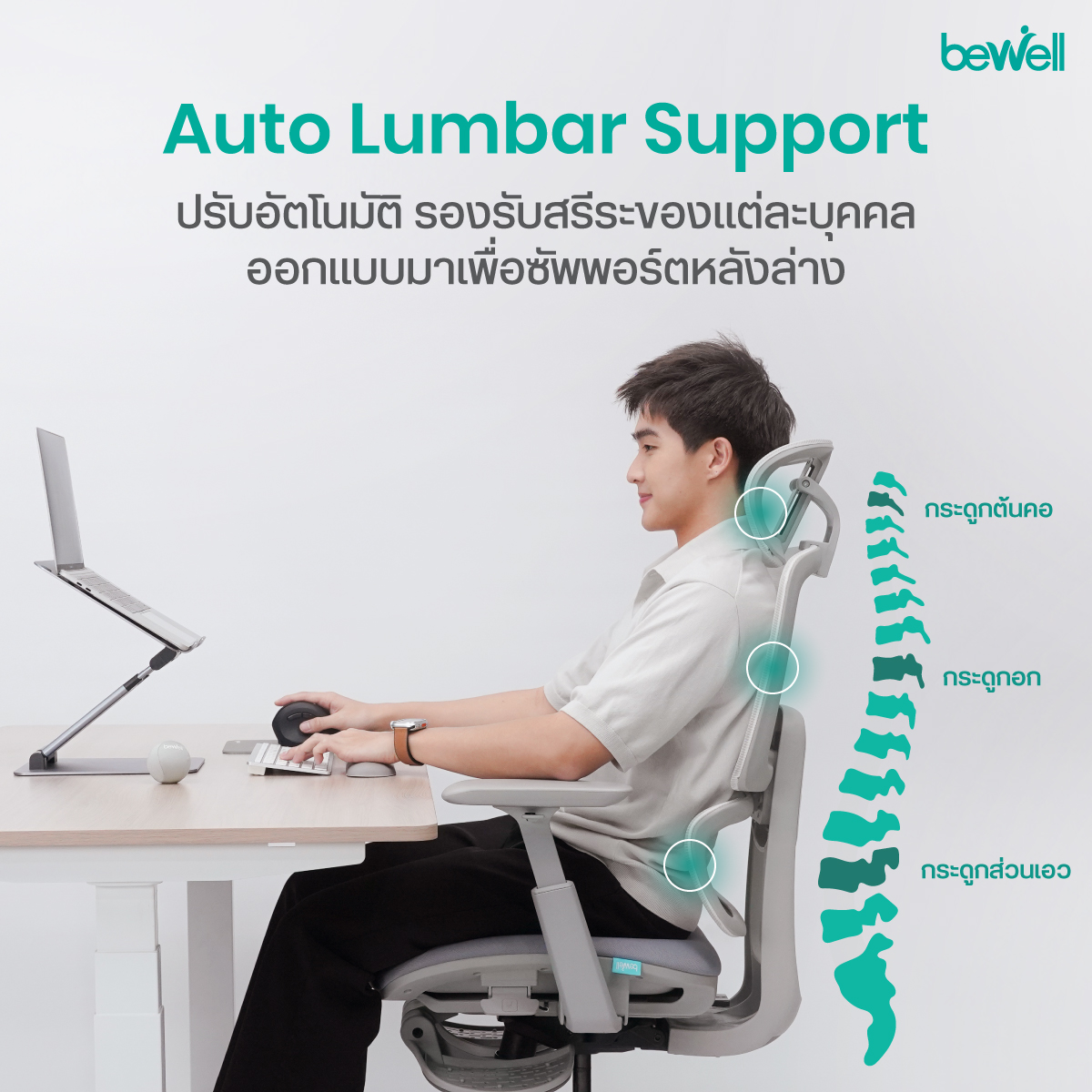 Bewell Enlift Plus 5-Level Backrest พนักพิงปรับสูงต่ำ 5 ระดับ