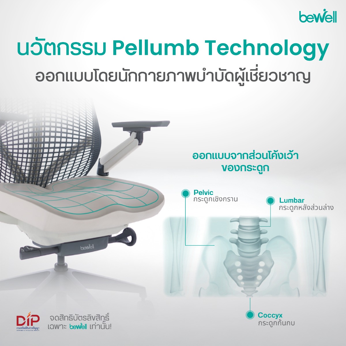 Bewell EMBRACE PLUS S-Flexi-Elastic Backrest