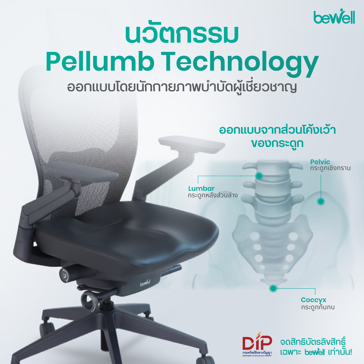 พนักพิงตาข่าย X-Mesh และ Lumbar Support สำหรับคนหลังแอ่น