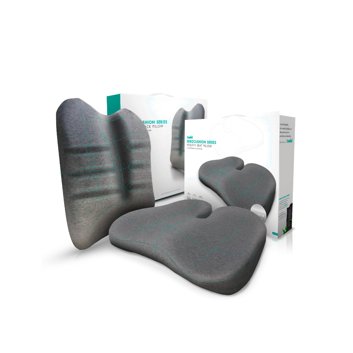 Bewell Ergocushion Series เบาะรองหลังเพื่อสุขภาพ พัฒนาร่วมกับนักกายภาพ