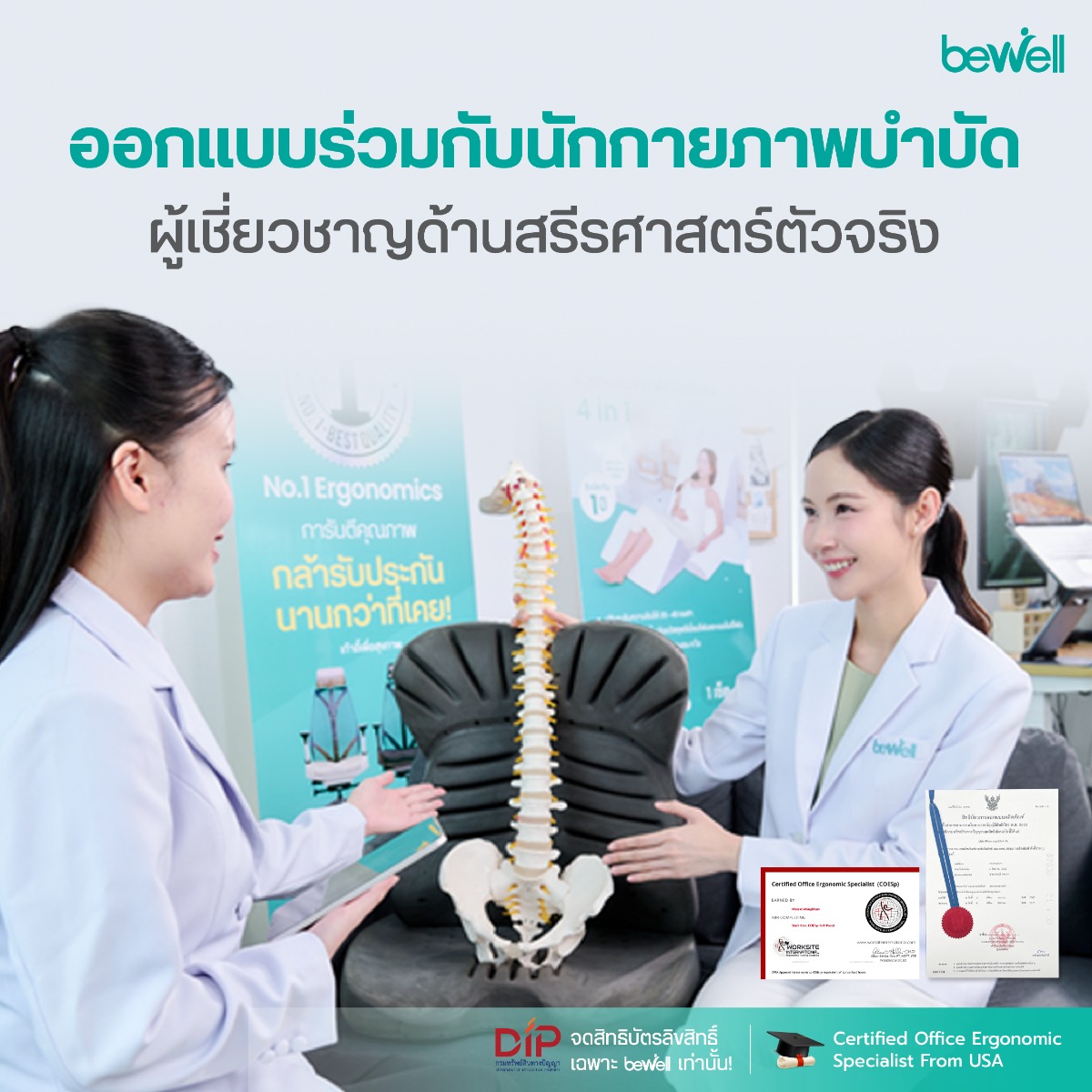 โครงสร้าง 3 Highlight Support ของเบาะรองหลัง Bewell Ergo-Cushion Plus