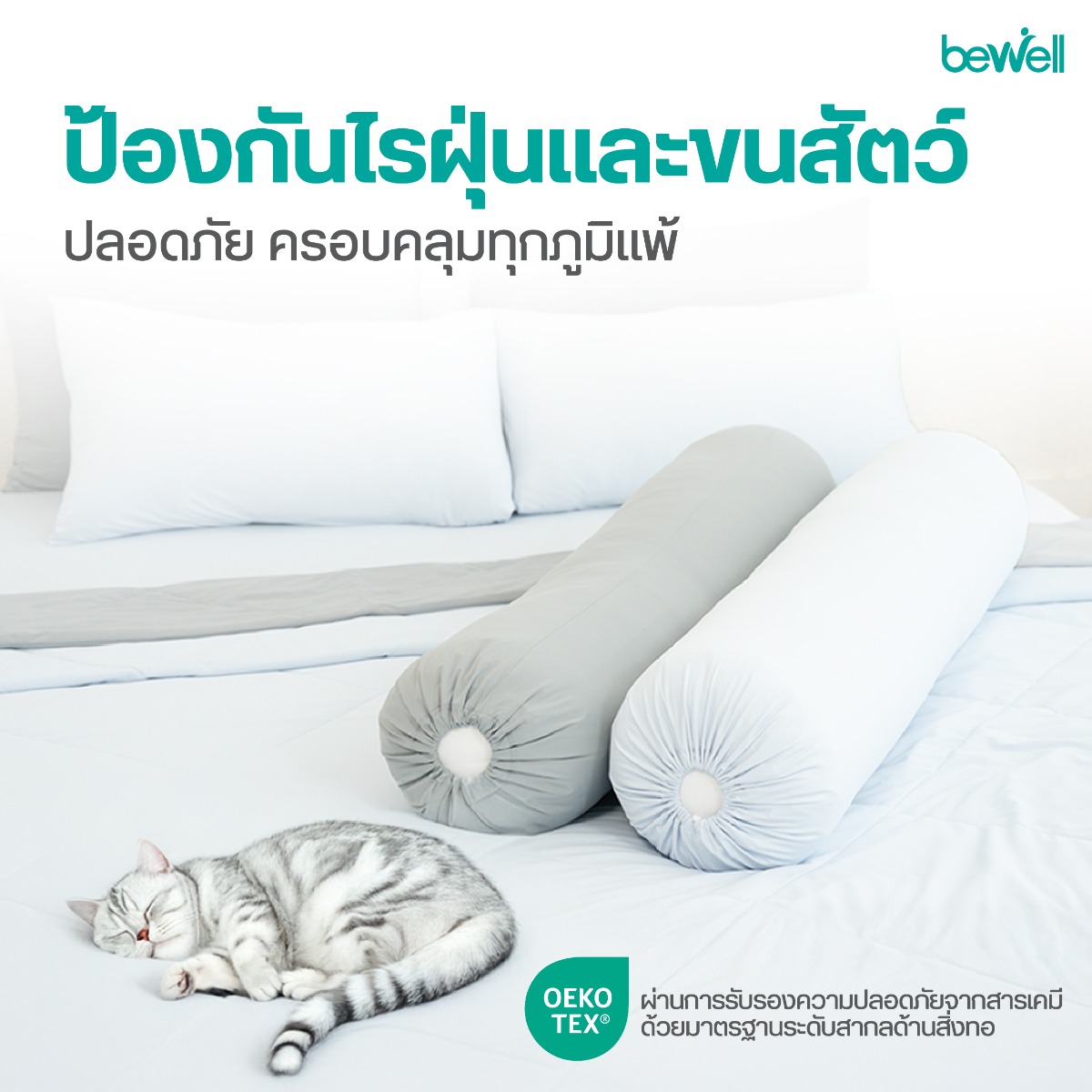 Bewell ปลอกหมอนข้างเย็น มาตรฐาน OEKO-TEX ปลอดภัย ป้องกันไรฝุ่น