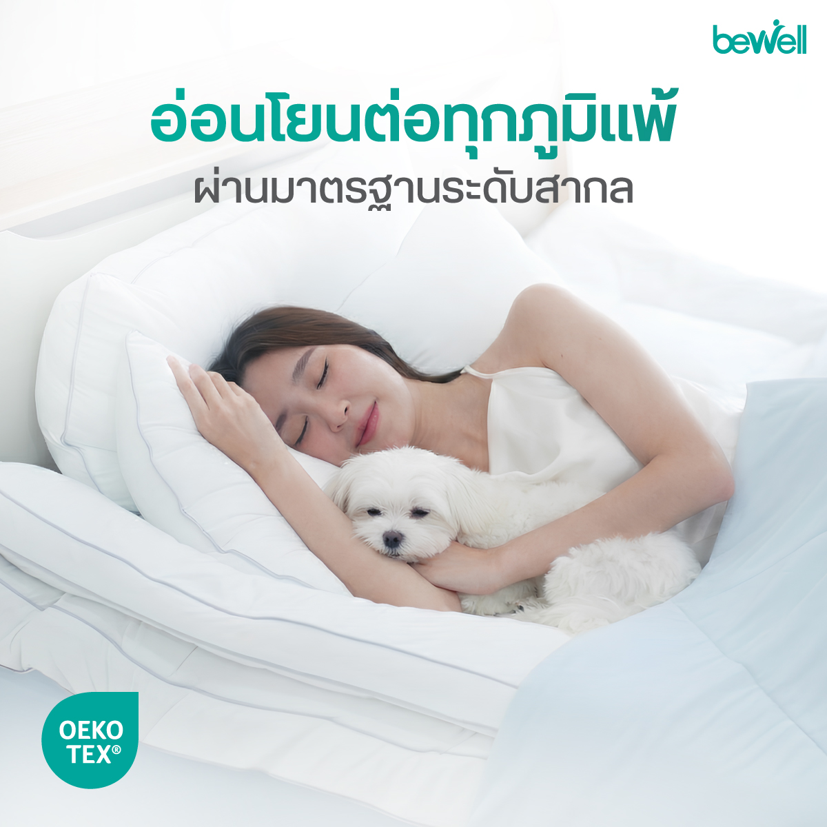 ขนาดมาตรฐาน 45x70 cm สูง 20 cm เซตคุ้มค่า 2 ชิ้น