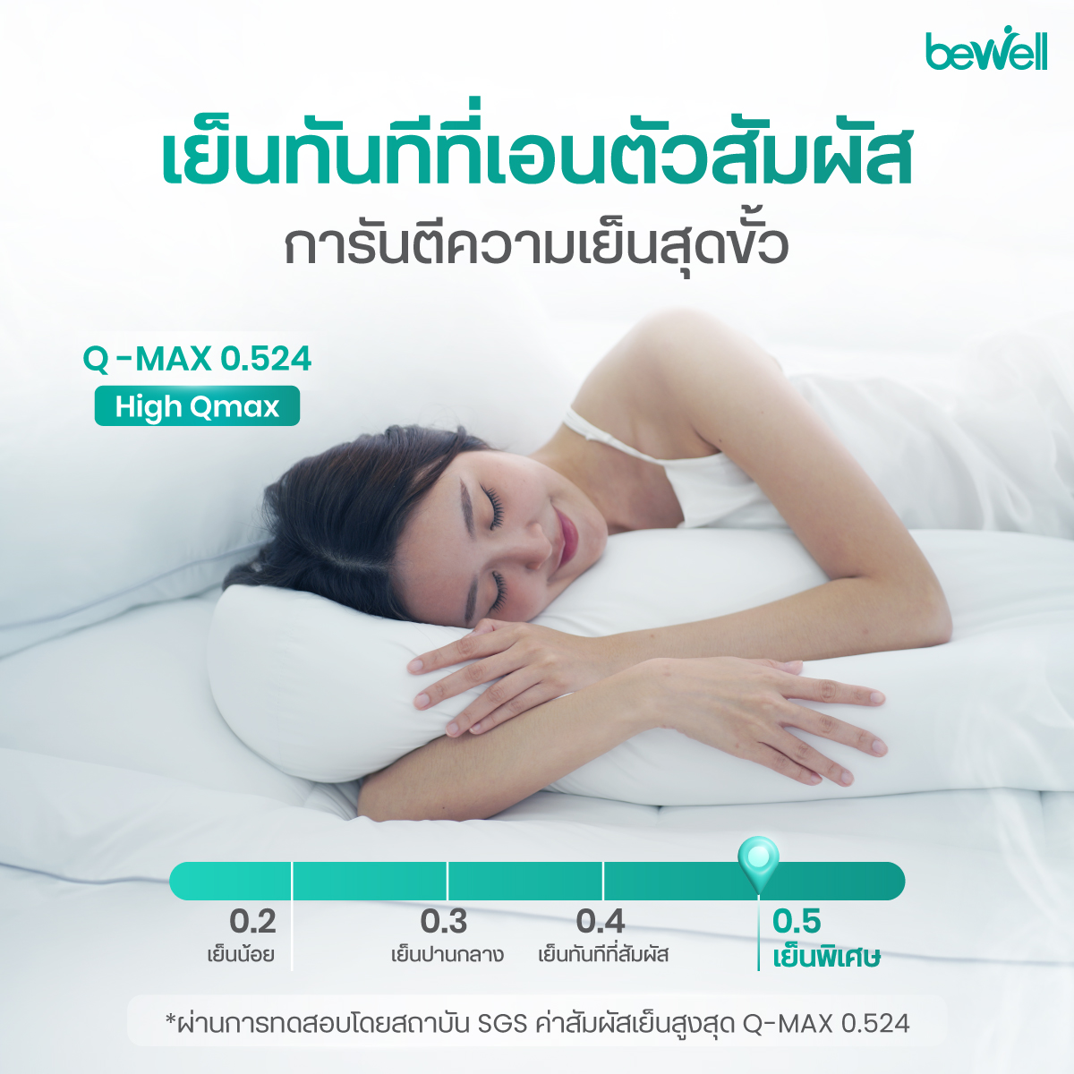 หมอนข้างเพื่อสุขภาพ Bewell ปลอดภัยต่อผู้เป็นภูมิแพ้และเป็นมิตรต่อสัตว์เลี้ยง