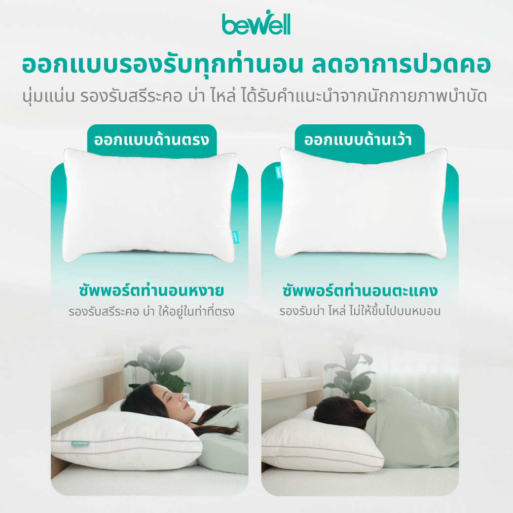 ขนาดมาตรฐาน 46x68 ซม. ซักทำความสะอาดง่าย