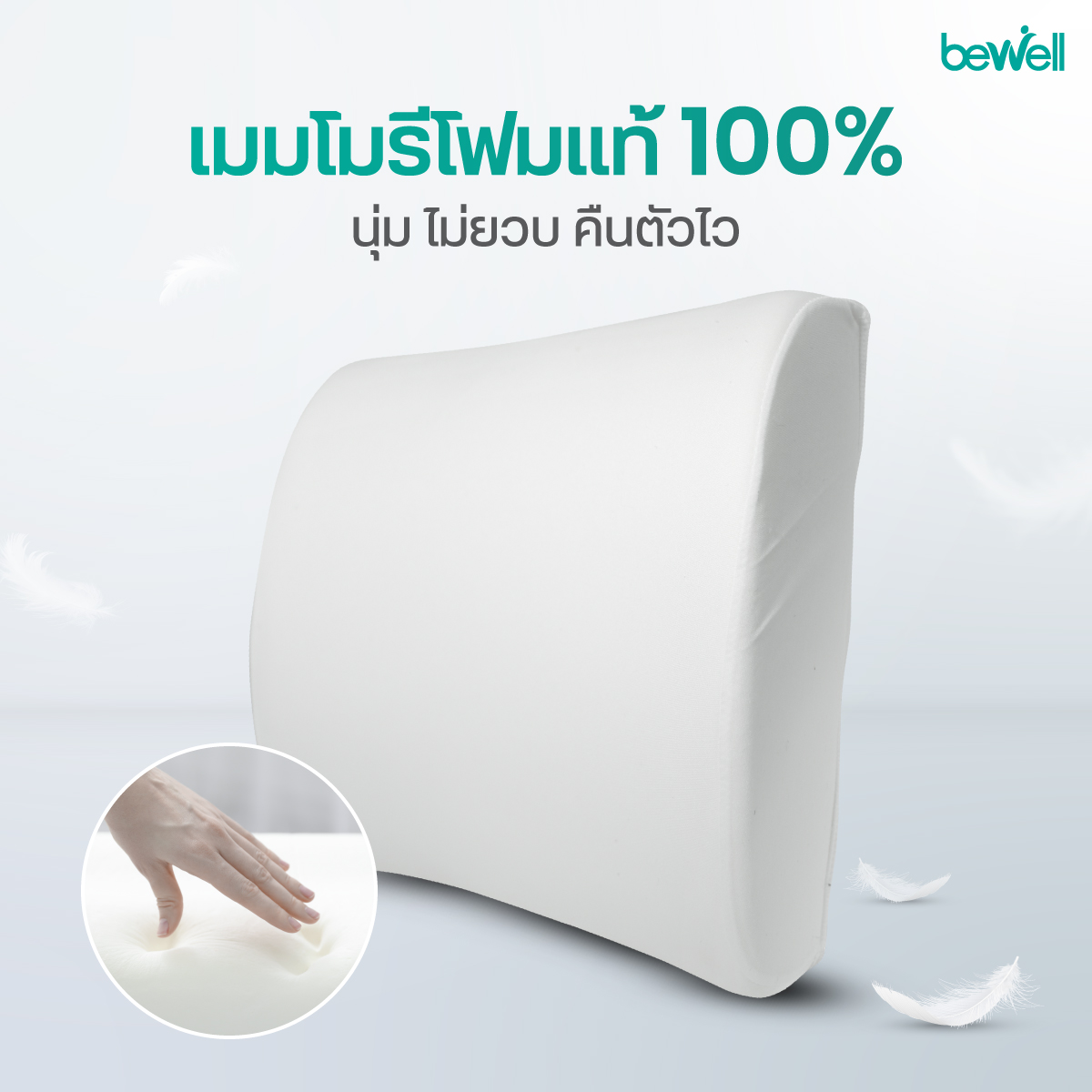 ปลอกผ้ากำมะหยี่ Soft Plush Cover ของเบาะรองหลัง Bewell