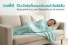 รีวิว Bewell ผ้าห่มเย็นอเนกประสงค์ เย็นพกพา 18-22°C ห่มสบาย
