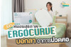 รีวิว Ergocurve หมอนเพื่อสุขภาพ ลดอาการ ปวดคอ ตอบโจทย์ทุกท่านอน