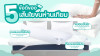5 ข้อดีของเส้นใยขนห่านเทียม ทางเลือกใหม่ของคนเป็นภูมิแพ้