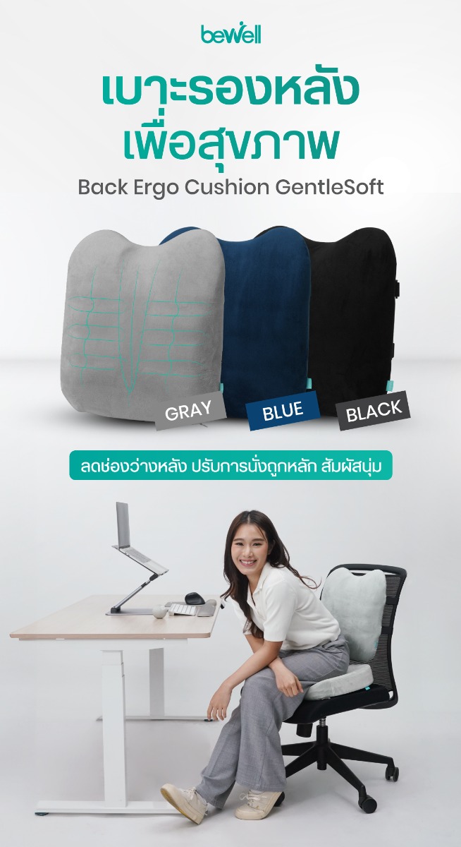 Bewell Ergonomic Back Cushion Memory Foam