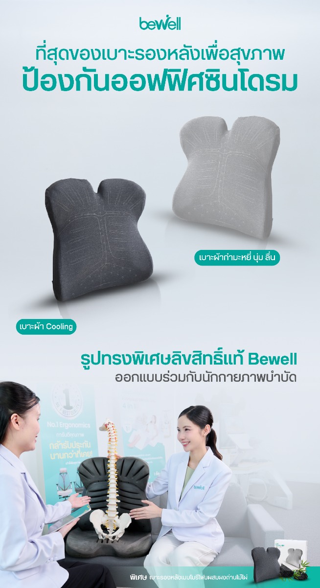 Bewell Ergo-Cushion Plus Back Support