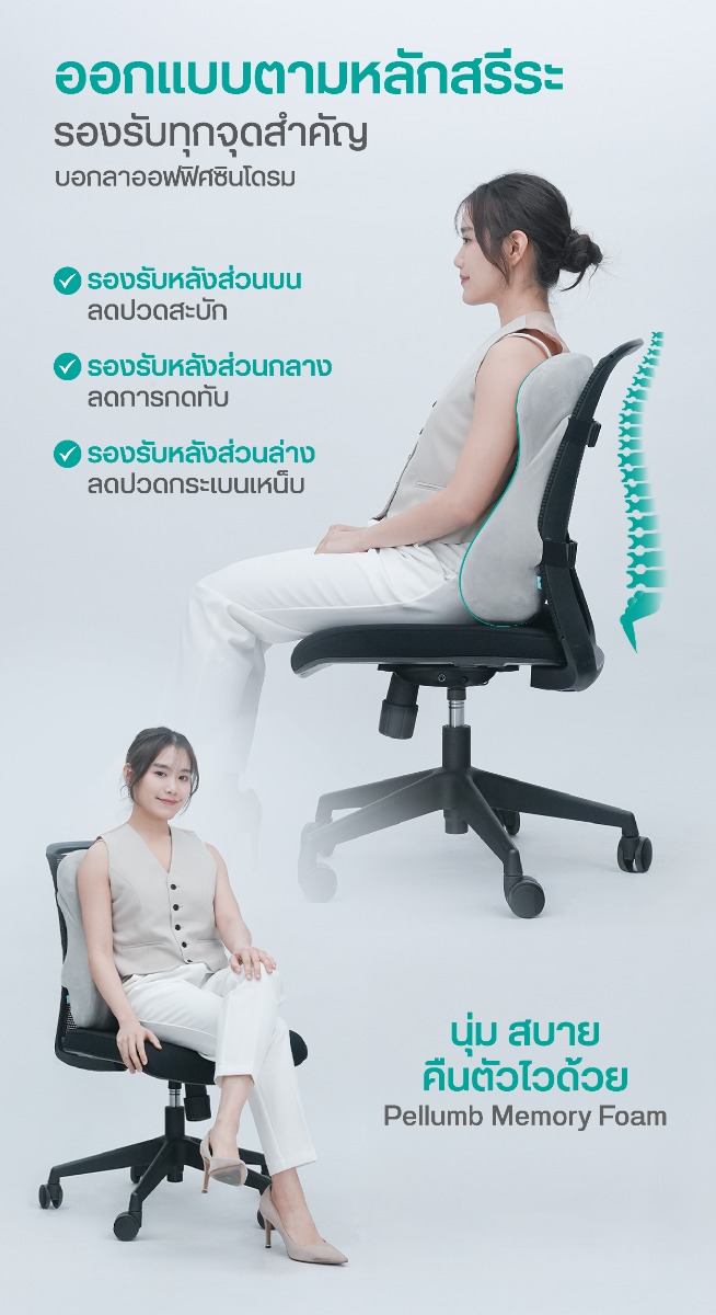 Bewell Ergo-Cushion Plus Back Support