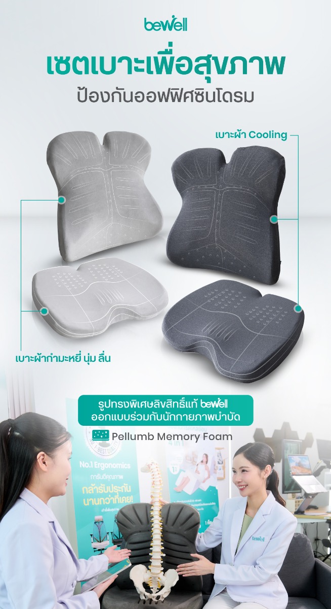 Ergo-Cushion Series Plus Back & Seat