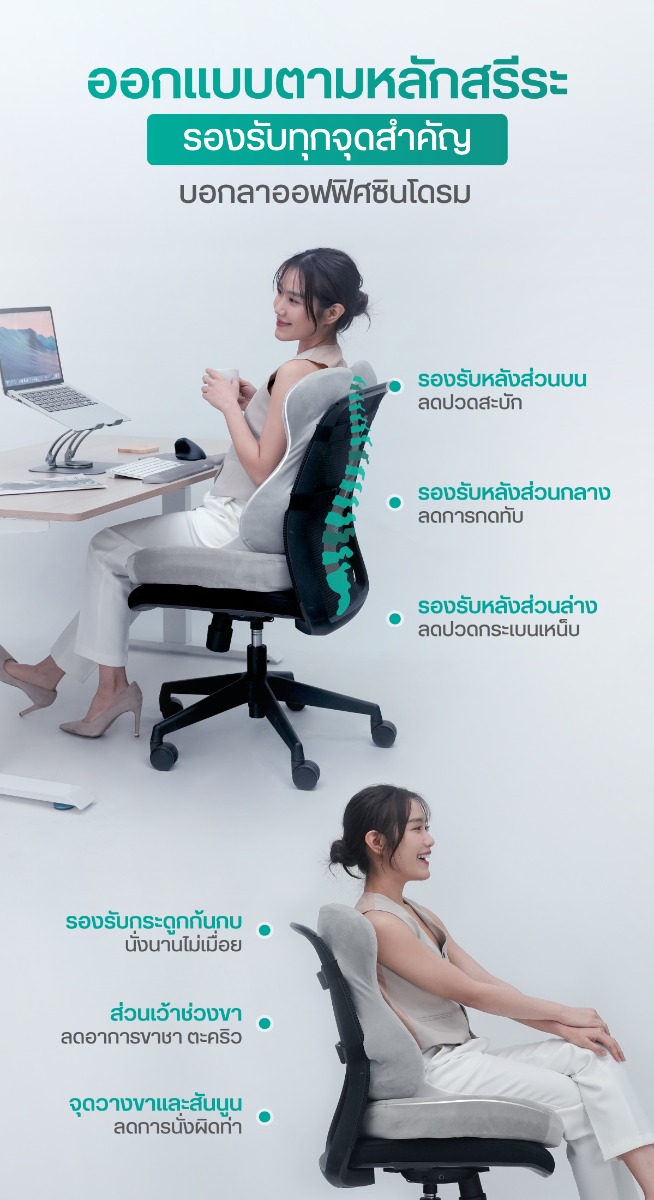 Ergo-Cushion Series Plus Back & Seat