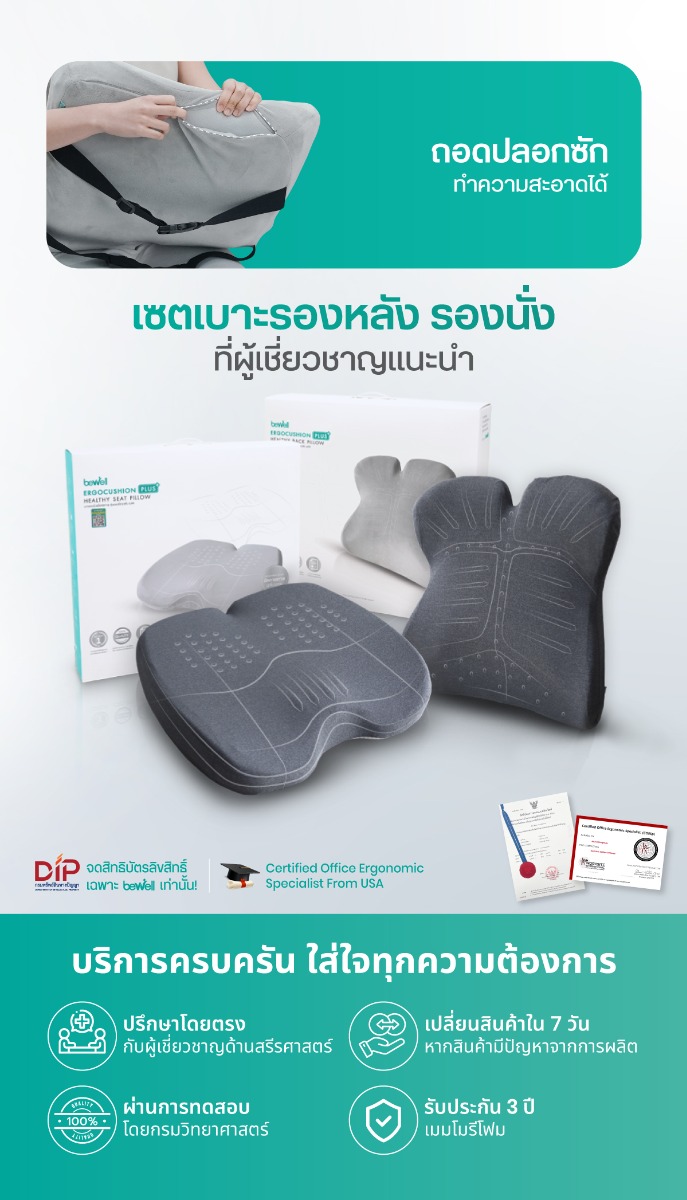 Ergo-Cushion Series Plus Back & Seat