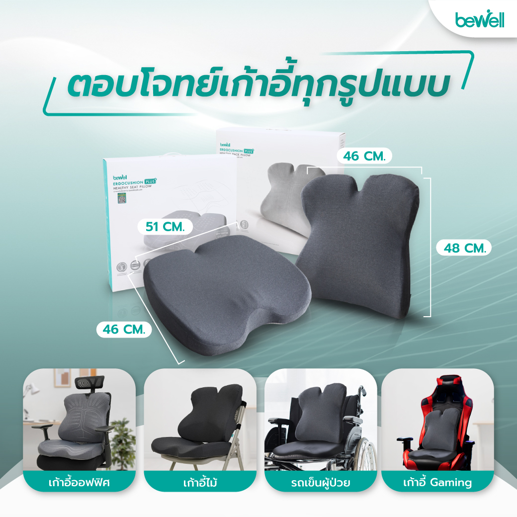 Ergo-Cushion Series Plus Back & Seat