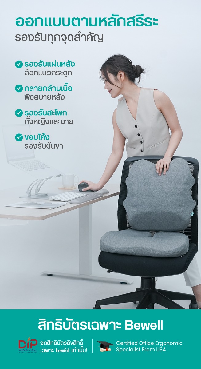 Bewell Ergocushion Series เบาะรองหลัง รองนั่ง พัฒนาร่วมกับนักกายภาพ เมมโมรี่โฟมชาโคล รองรับหลังได้ดีกว่าเดิม