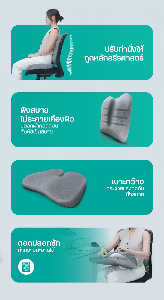 Bewell Ergocushion Series เบาะรองหลัง รองนั่ง พัฒนาร่วมกับนักกายภาพ เมมโมรี่โฟมชาโคล รองรับหลังได้ดีกว่าเดิม