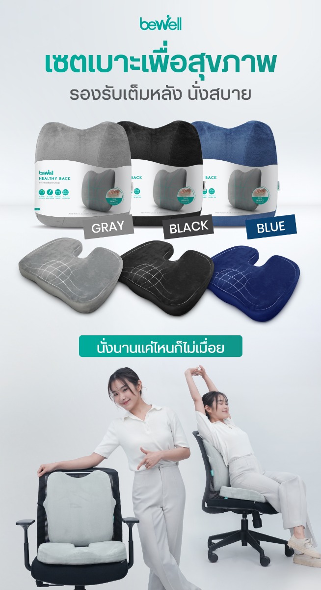เซตเบาะเพื่อสุขภาพ รุ่น ยอดฮิต
