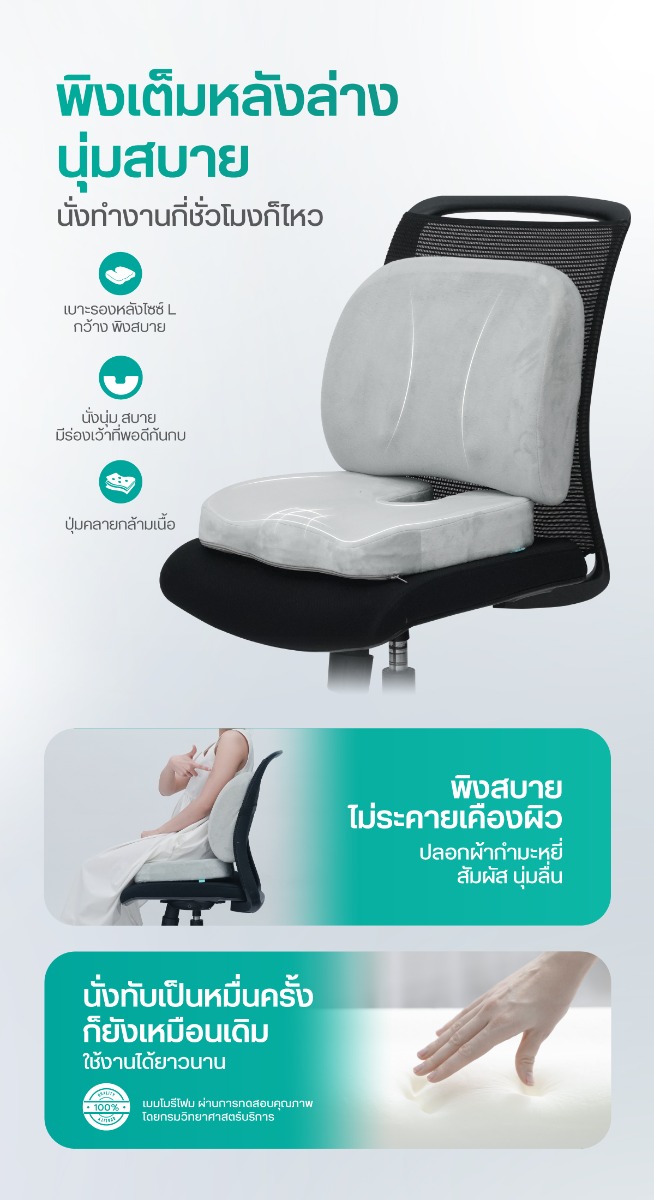 เซตเบาะรองหลังเพื่อสุขภาพ H11 + HT001