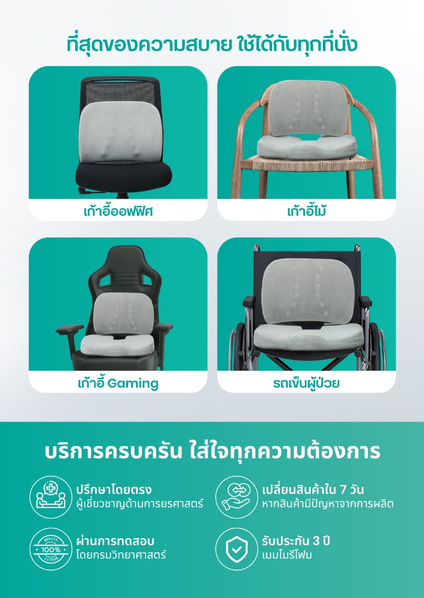 เซตเบาะรองหลังเพื่อสุขภาพ H11 + HT001