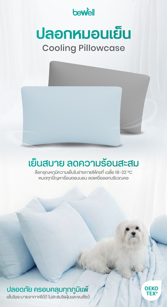 Bewell เซตปลอกหมอนเย็น 2 ชิ้น