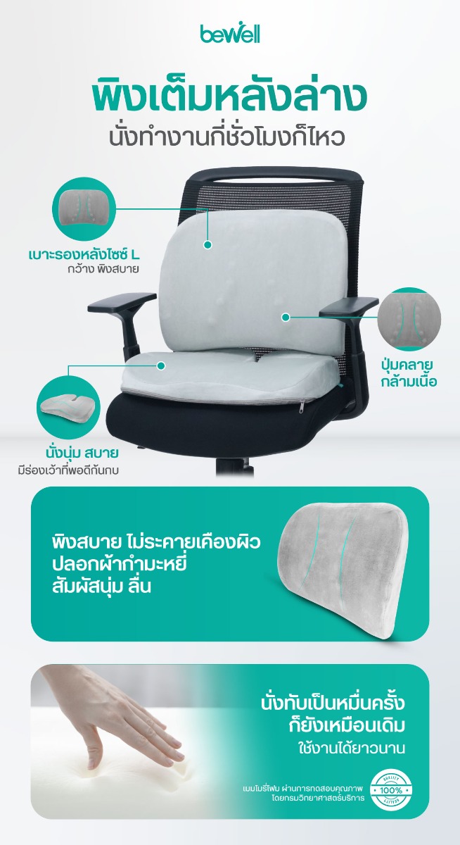 เซตเบาะรองหลังเพื่อสุขภาพ H11 + HT001