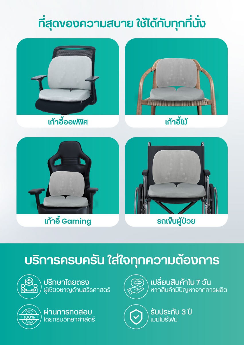 เซตเบาะรองหลังเพื่อสุขภาพ H11 + HT001
