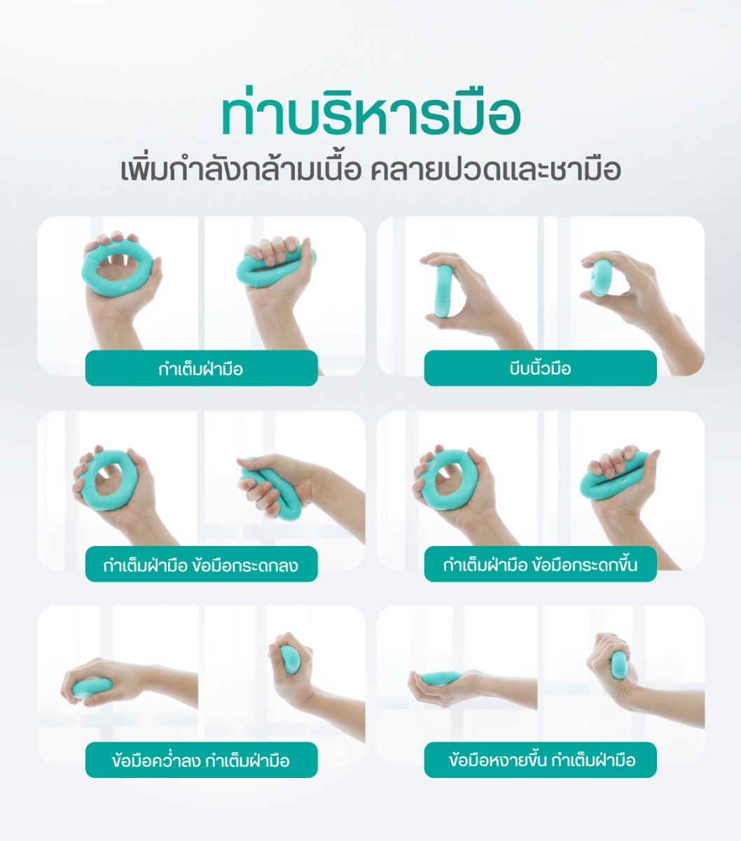 Bewell Ergonomic Wobble Chair