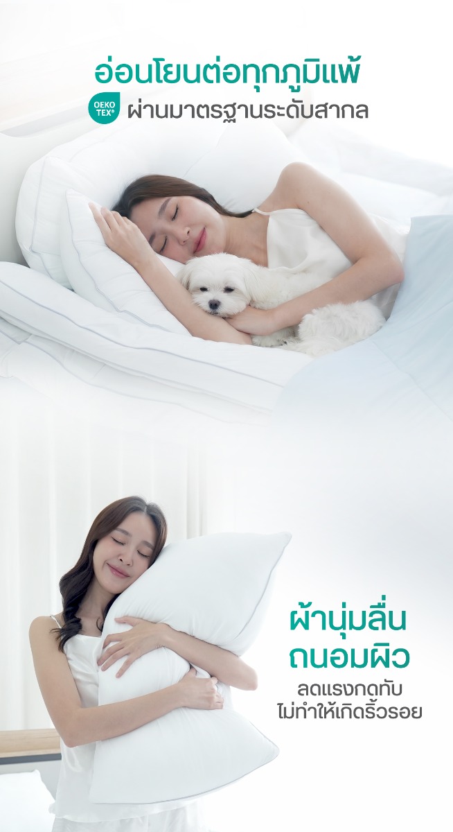 Bewell Cooling Pillow เซตหมอนเย็น 2 ชิ้น
