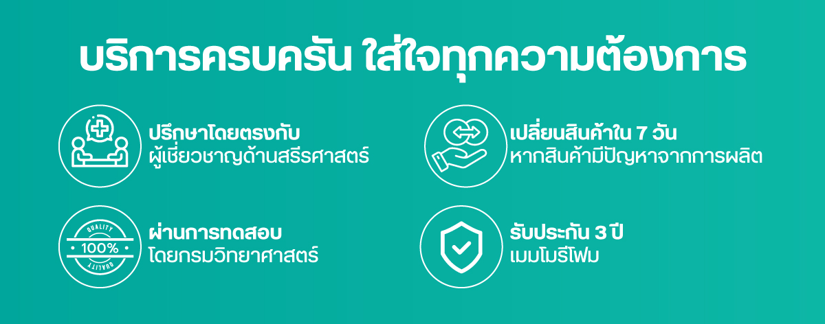 เซตเบาะเพื่อสุขภาพ H10+HT002
